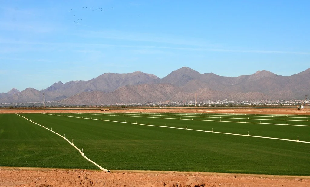 The McDowell Mountains in Arizona under a blue sky